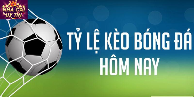 Mẹo chơi cá cược ai cũng phải biết